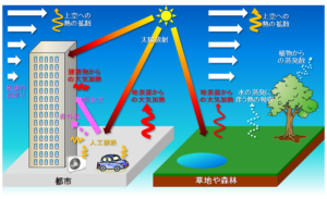 アスファルト舗装によるヒートアイランド現象への対策 - 東京コンテック株式会社